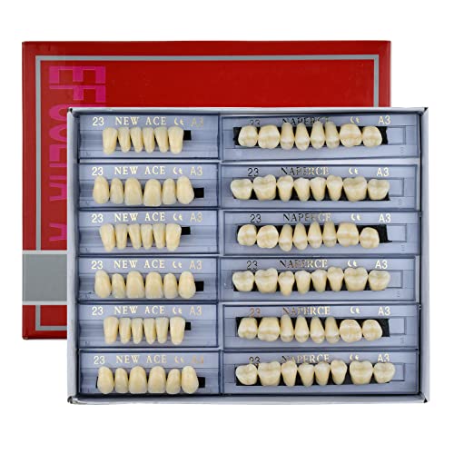 168-pcs-dental-synthetic