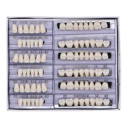 168-pcs-dental-synthetic